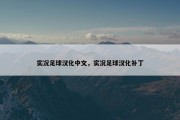 实况足球汉化中文，实况足球汉化补丁