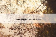 2016足球赛？ 2016年足球？