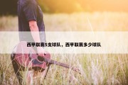西甲联赛5支球队，西甲联赛多少球队