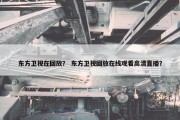 东方卫视在回放？ 东方卫视回放在线观看高清直播？