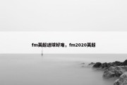 fm英超进球好难，fm2020英超