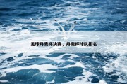 足球丹麦杯决赛，丹麦杯球队排名