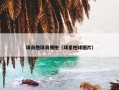 球员他球员拥抱（球星抱球图片）