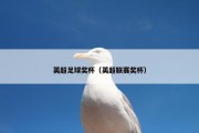 英超足球奖杯（英超联赛奖杯）
