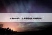 球员machis（球员恶意犯规应被严惩吗）