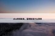 nba球员鲶鱼，篮球鲶鱼什么意思