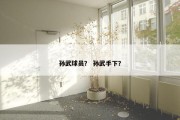 孙武球员？ 孙武手下？