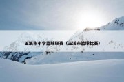 玉溪市小学篮球联赛（玉溪市篮球比赛）