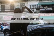 欧洲杯球员名单数量，欧洲杯球队人员
