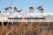 中超申花引进球员（中超申花引进球员有哪些）