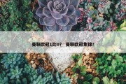 曼联欧冠1比0？ 曼联欧冠集锦？