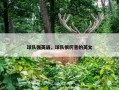 球队强英语，球队很厉害的英文