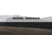 法国巴西男篮，法国巴西男篮比赛