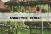 森纳欧洲最帅中场球员？ 欧洲中锋nba？