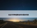 包含手作物语黄金切尔西的词条