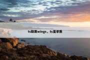 ts联赛wings，ts夏季赛