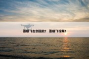 张顺飞击剑回放？ 张顺飞视频？