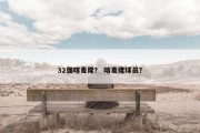 32强喀麦隆？ 喀麦隆球员？