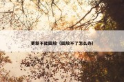 更新不能回放（回放不了怎么办）