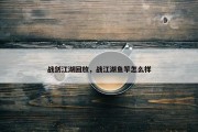 战剑江湖回放，战江湖鱼竿怎么样