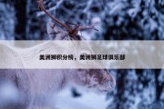 美洲狮积分榜，美洲狮足球俱乐部
