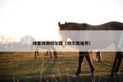 球星评测切尔西（切尔西推荐）