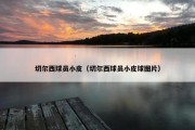 切尔西球员小皮（切尔西球员小皮球图片）