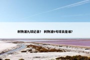 利物浦九球纪录？ 利物浦9号球员是谁？