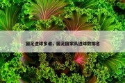 国足进球多谁，国足国家队进球数排名