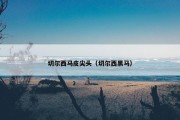 切尔西马皮尖头（切尔西黑马）