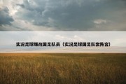 实况足球爆改国足队员（实况足球国足队套阵容）