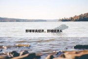 野球球员经济，野球经济人