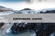 欧洲杯跌倒爬起回放，欧洲杯摔倒