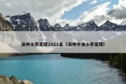 滨州小学足球2021名（滨州中海小学足球）