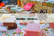 森纳四模式（森纳是什么）