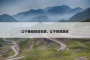 辽宁曾经球员年薪，辽宁球员薪资