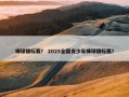 棒球锦标赛？ 2025全国青少年棒球锦标赛？