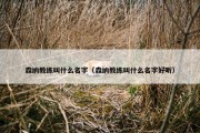 森纳教练叫什么名字（森纳教练叫什么名字好听）