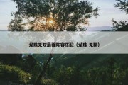 龙珠无双最强阵容搭配（龙珠 无聊）