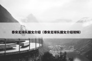泰安足球队图文介绍（泰安足球队图文介绍视频）