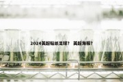 2024英超贴纸足球？ 英超海报？