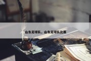 山东足球队，山东足球队比赛
