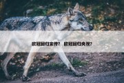欧冠回归宣传？ 欧冠回归央视？