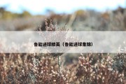 鲁能进球精英（鲁能进球集锦）