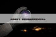 桃园顿阵容，桃园队到底是盾兵好还是枪