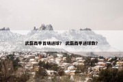 武磊西甲首场进球？ 武磊西甲进球数？
