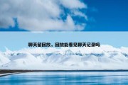 聊天留回放，回放能看见聊天记录吗