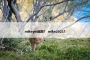 mikeyin回放？ mike2021？