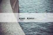 大265？ 大2653？