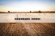 陕西基建赛道回放（陕西赛事）